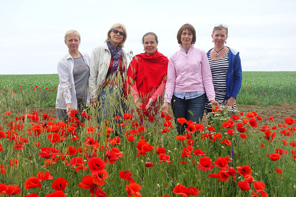 Маки в Крыму цветение степи в мае