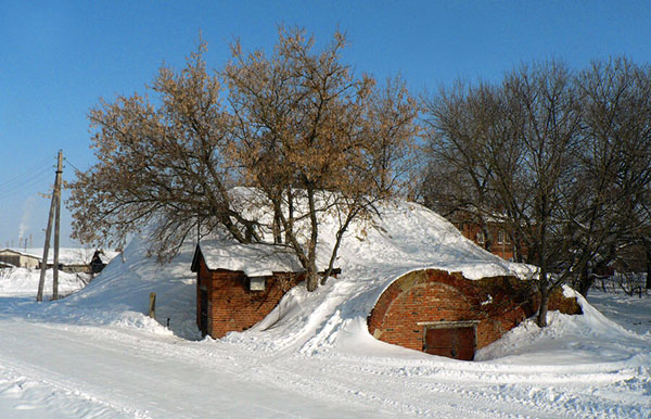 Рязанская область Старожиловский конезавод зимой. Starozhilovo winter