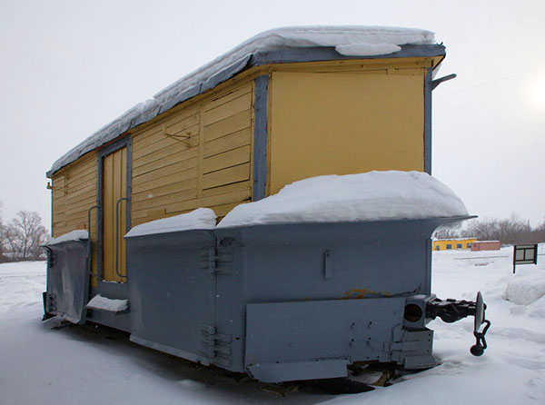 Рязанская область станция Тумская зимой
