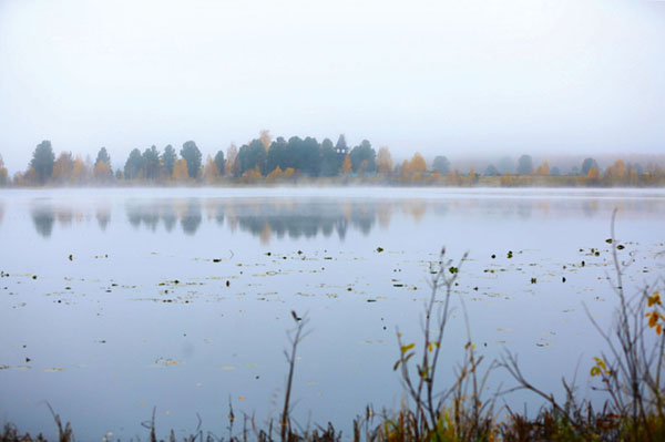 фото фото озеро Соозерское Верхнетоемский район Архангельская область